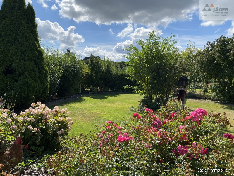 Blick in den Garten