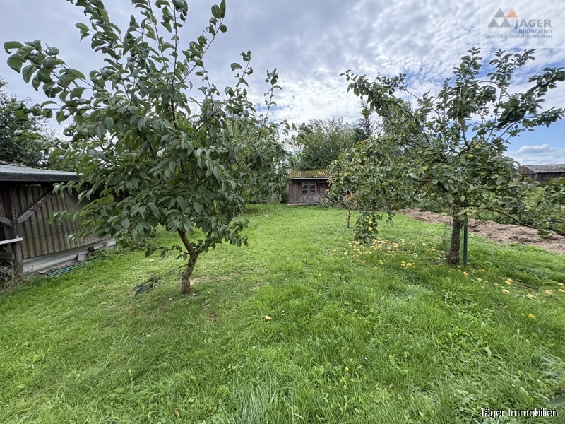 Blick in den Garten