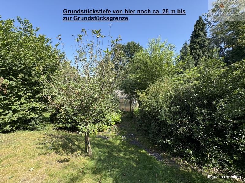 Blick in den Garten